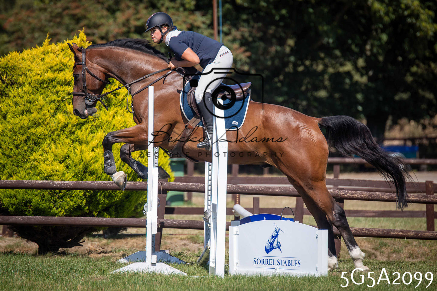 St Lawrence Charity Horse Show - Sunday pt2