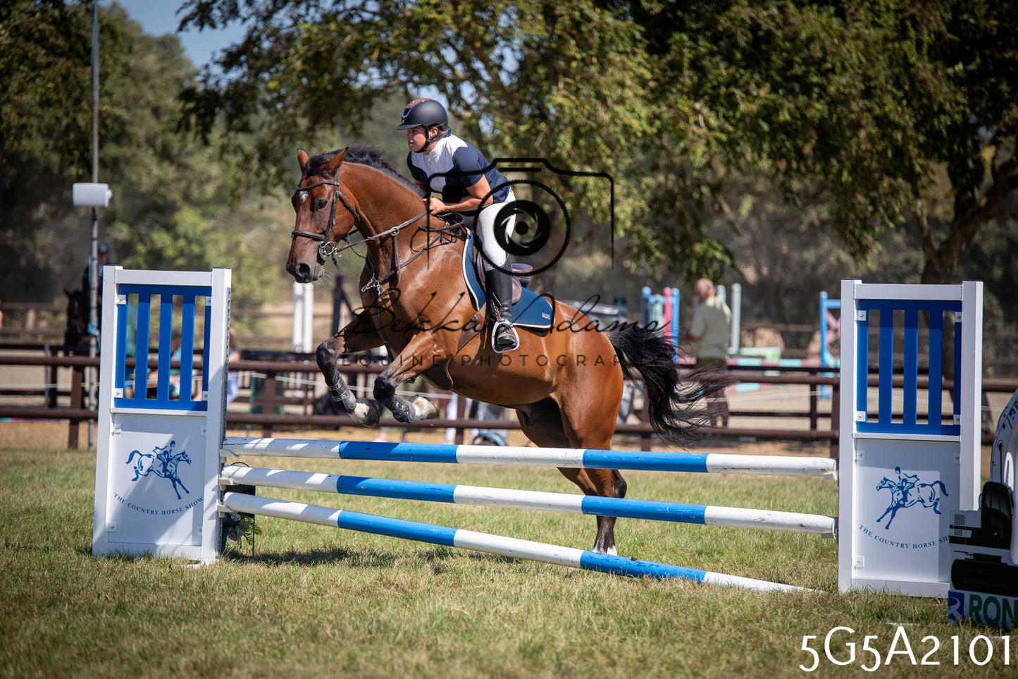 St Lawrence Charity Horse Show - Sunday pt2