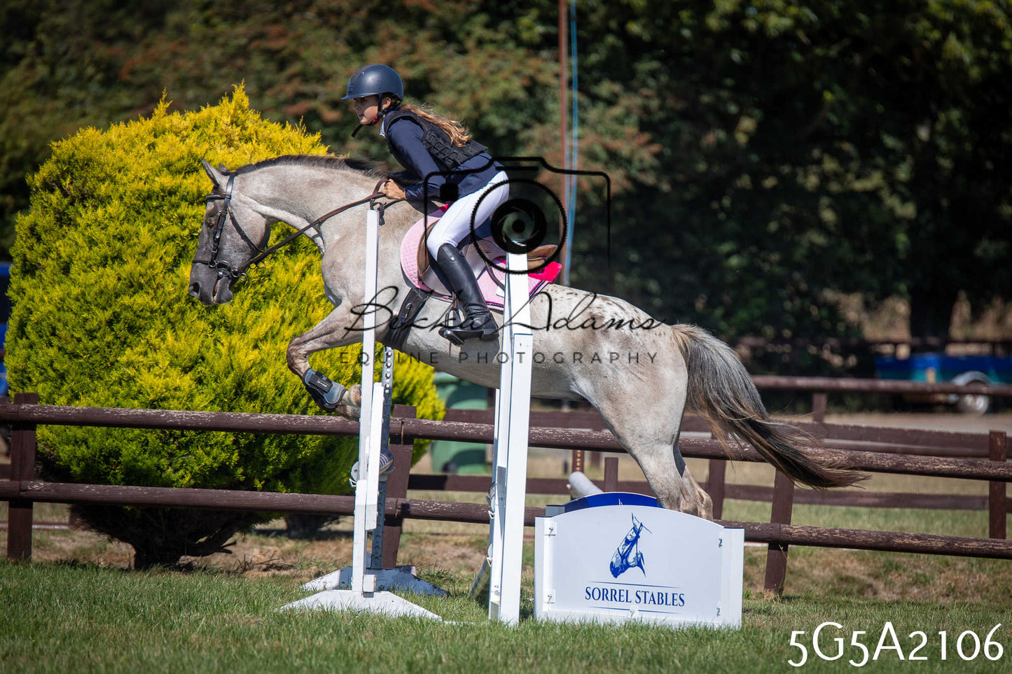 St Lawrence Charity Horse Show - Sunday pt2