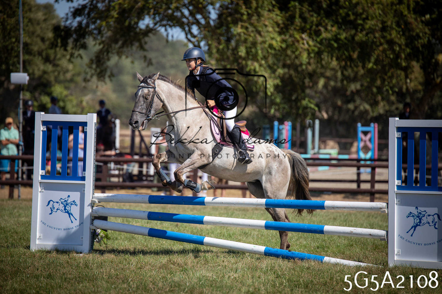 St Lawrence Charity Horse Show - Sunday pt2