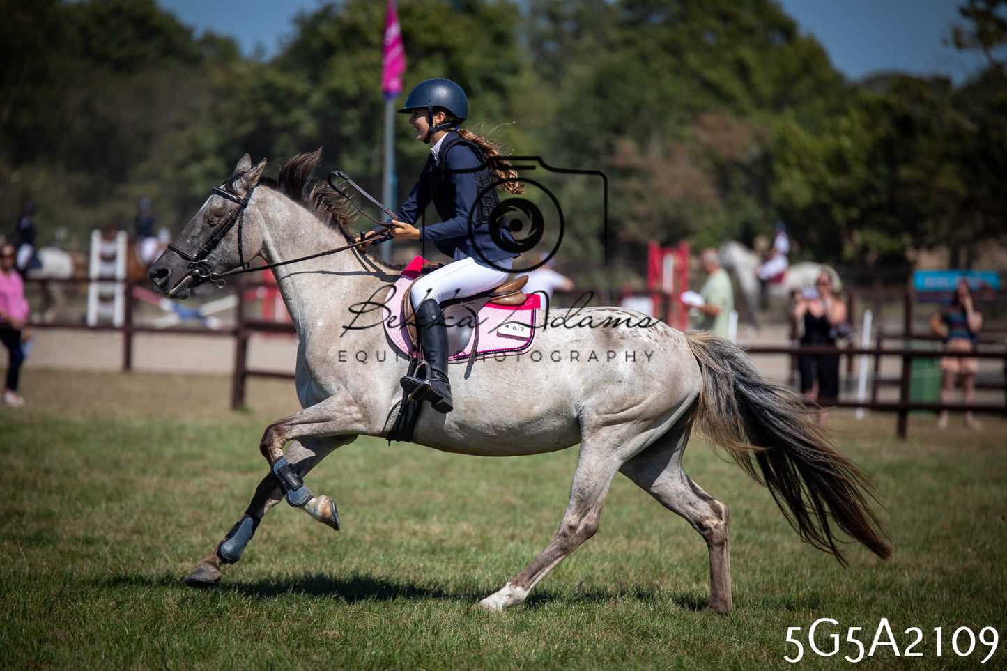 St Lawrence Charity Horse Show - Sunday pt2