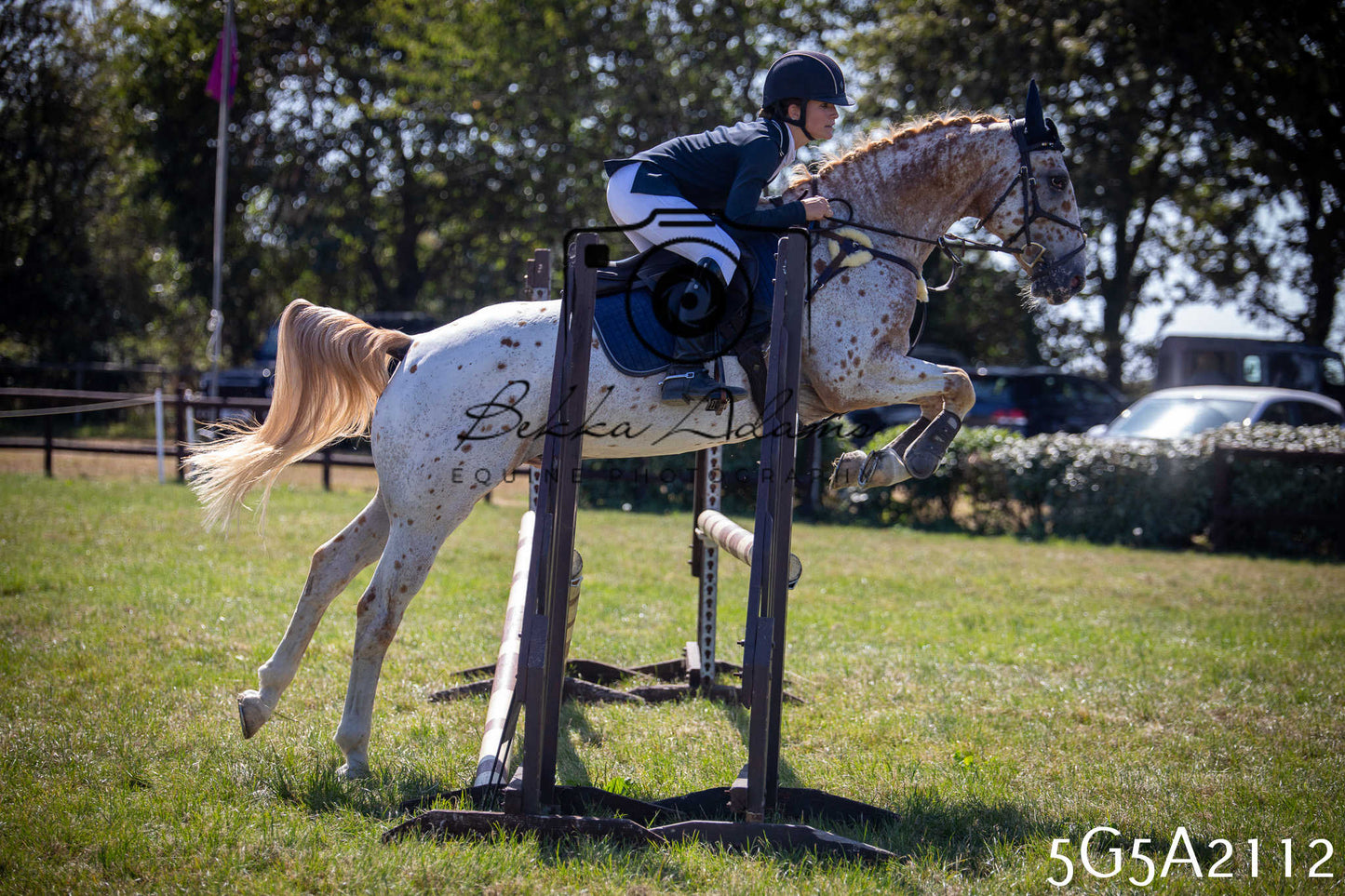 St Lawrence Charity Horse Show - Sunday pt2