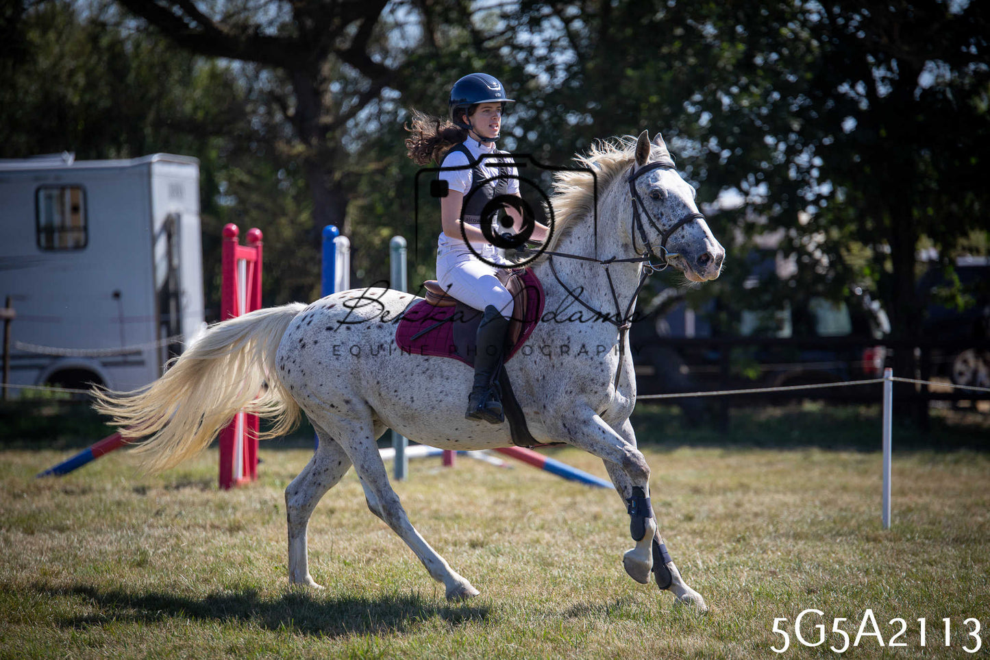 St Lawrence Charity Horse Show - Sunday pt2