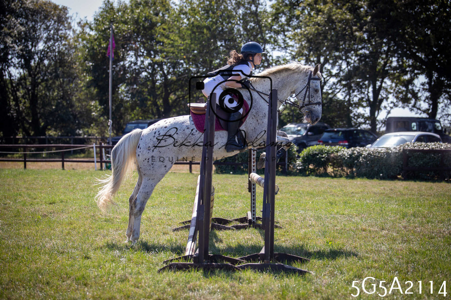 St Lawrence Charity Horse Show - Sunday pt2