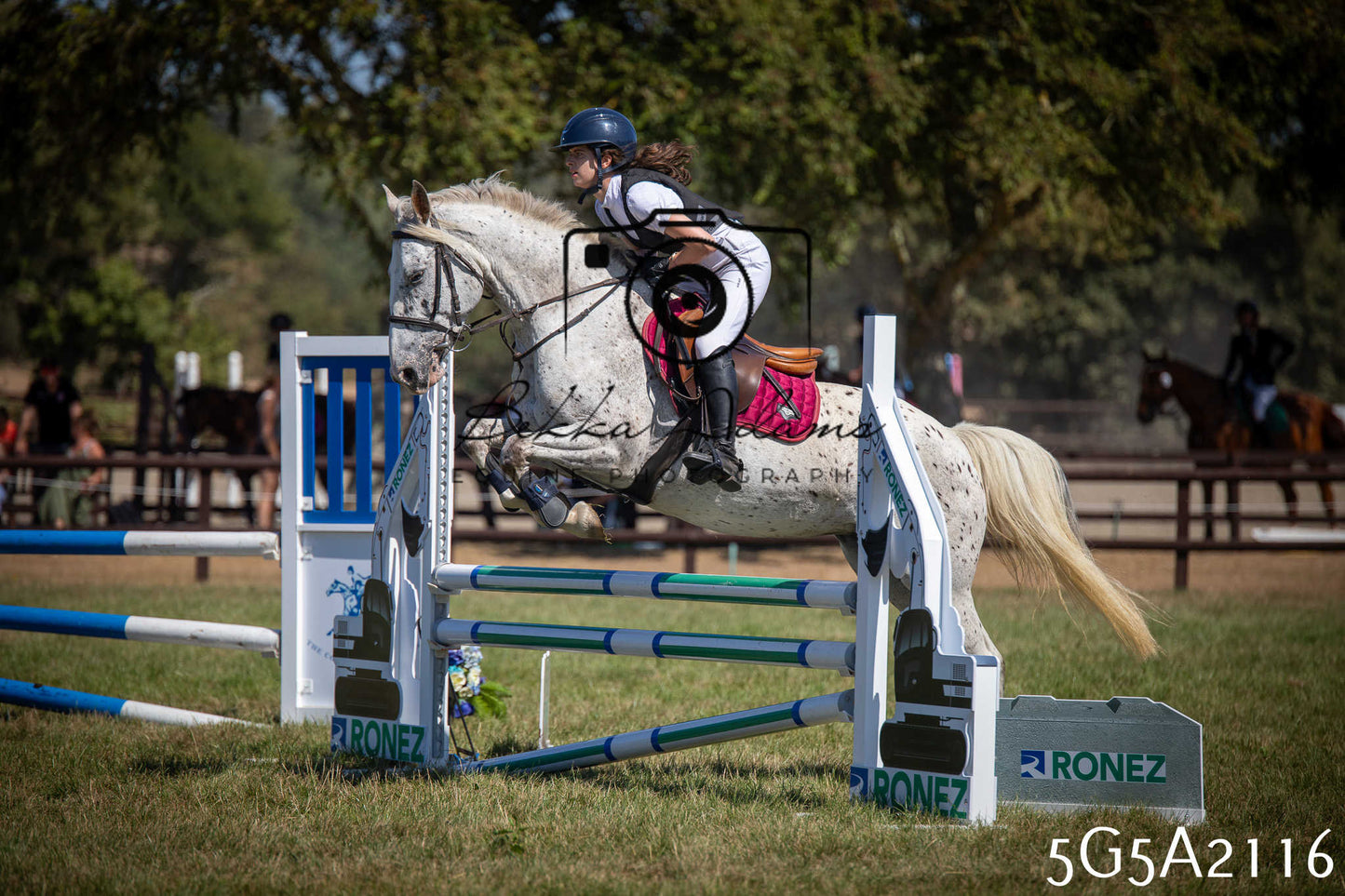 St Lawrence Charity Horse Show - Sunday pt2
