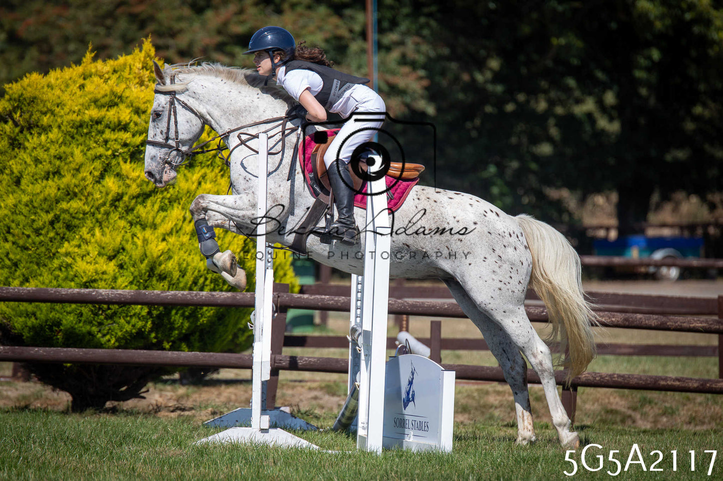 St Lawrence Charity Horse Show - Sunday pt2