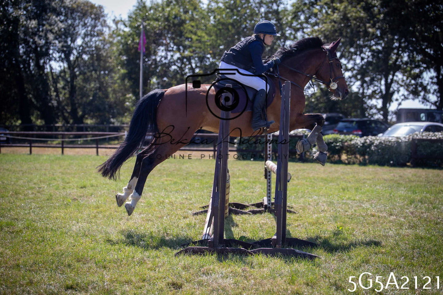 St Lawrence Charity Horse Show - Sunday pt3