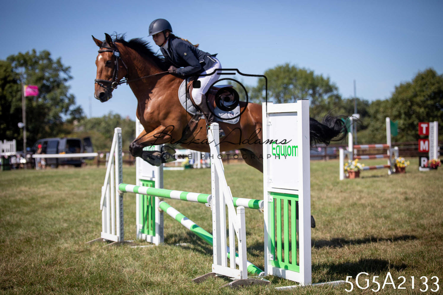St Lawrence Charity Horse Show - Sunday pt3