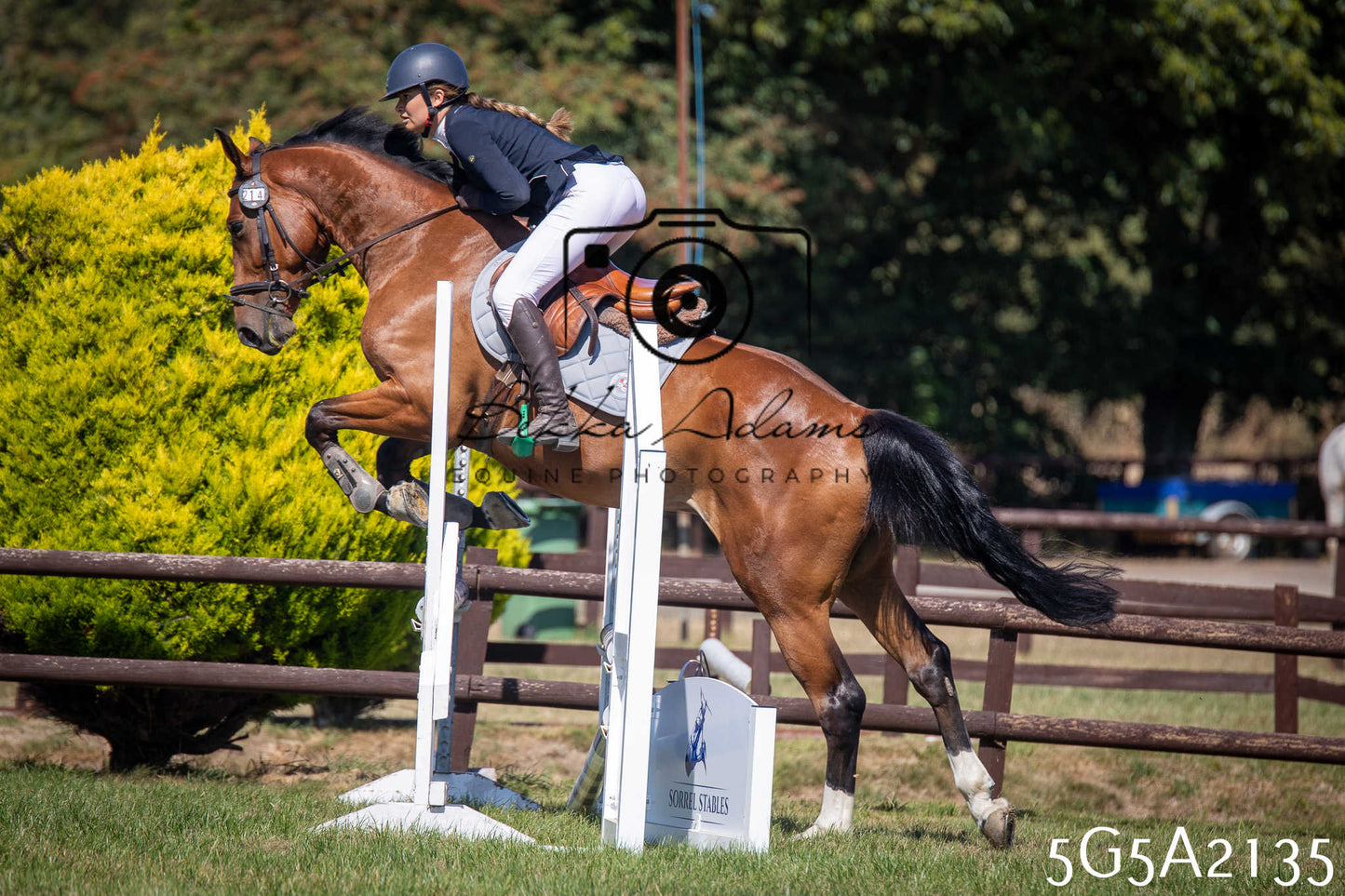 St Lawrence Charity Horse Show - Sunday pt3