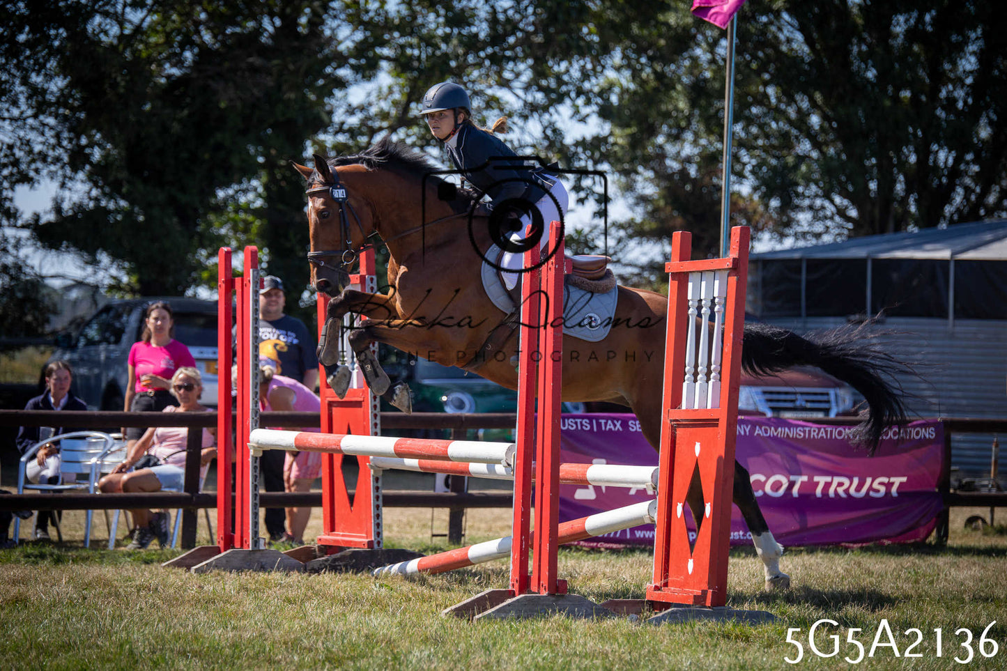 St Lawrence Charity Horse Show - Sunday pt3