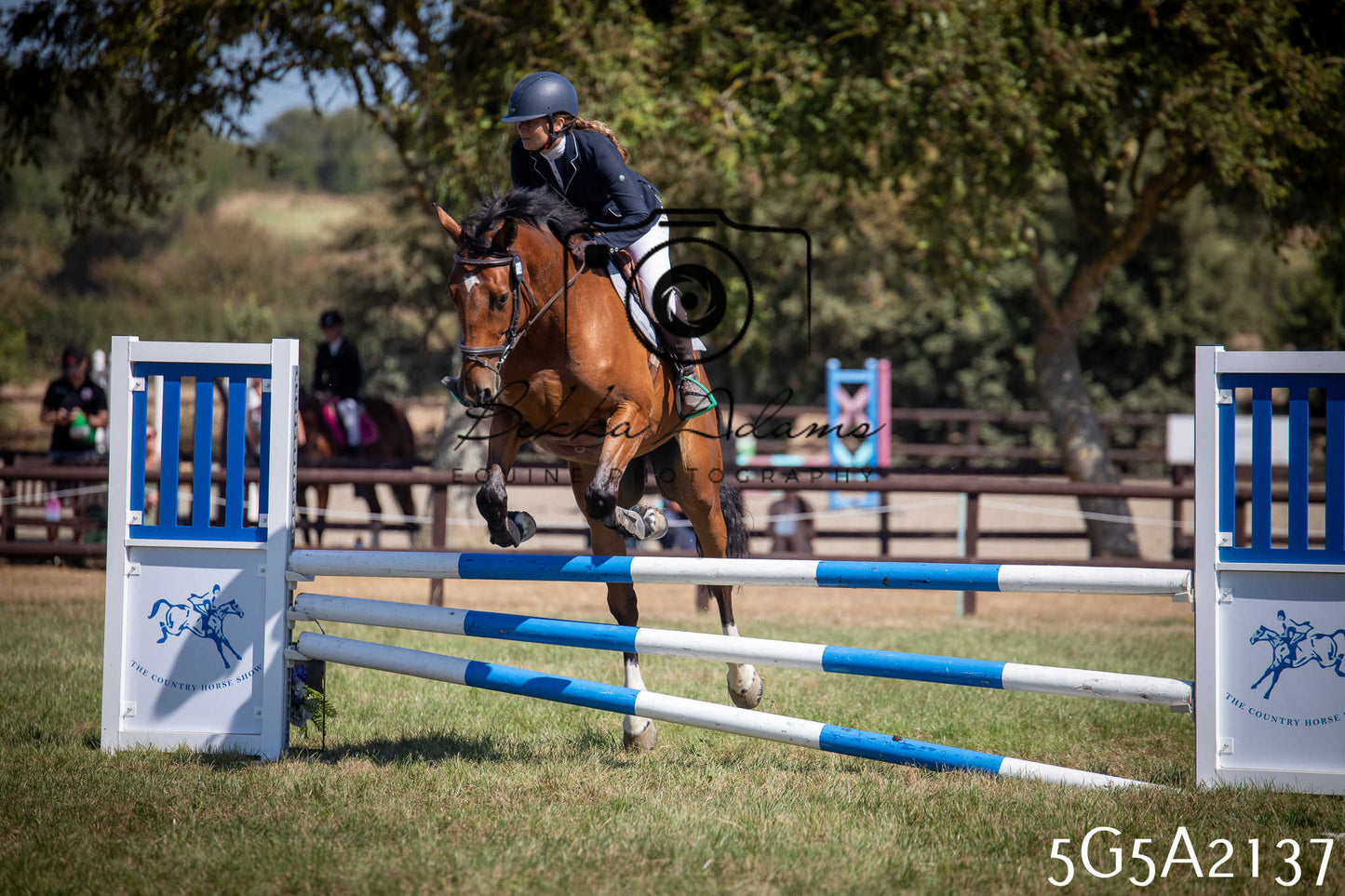 St Lawrence Charity Horse Show - Sunday pt3