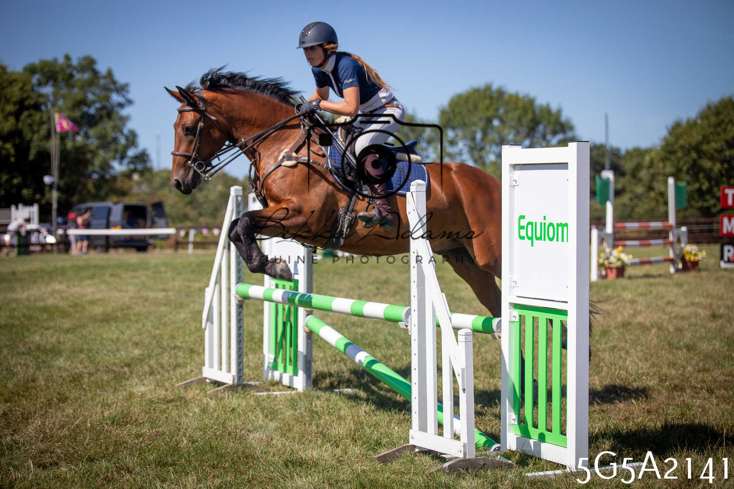 St Lawrence Charity Horse Show - Sunday pt3