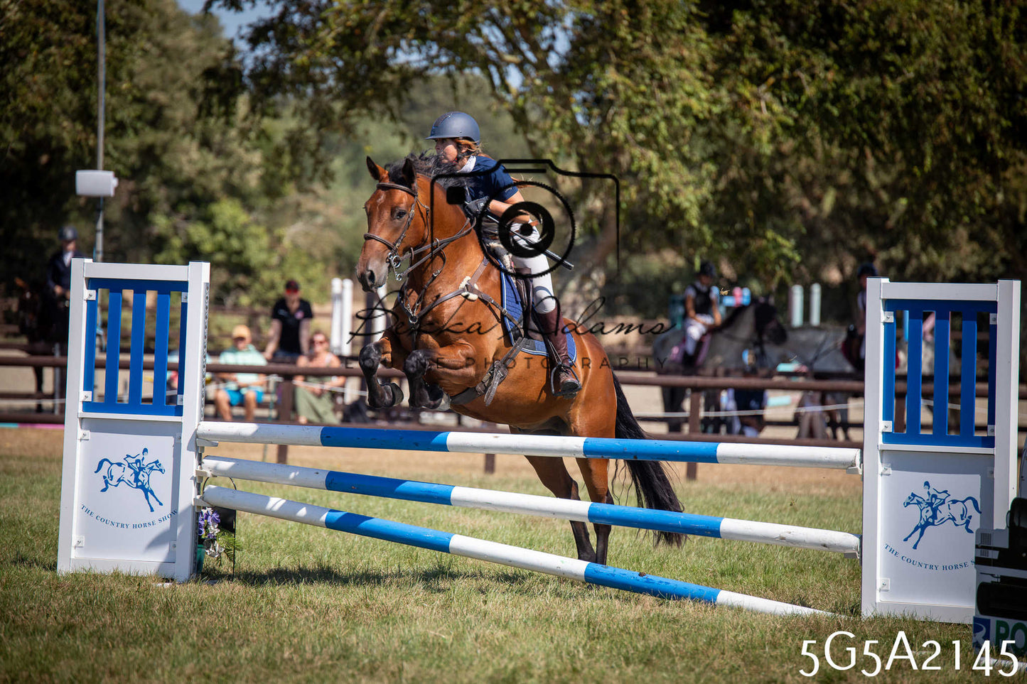 St Lawrence Charity Horse Show - Sunday pt3