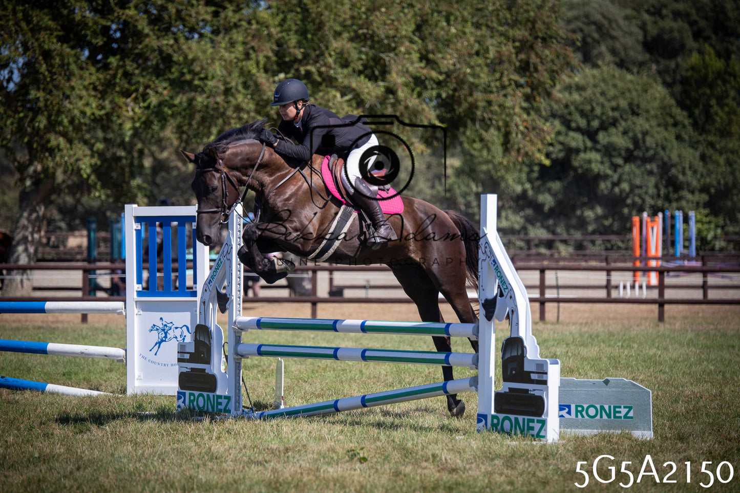 St Lawrence Charity Horse Show - Sunday pt3