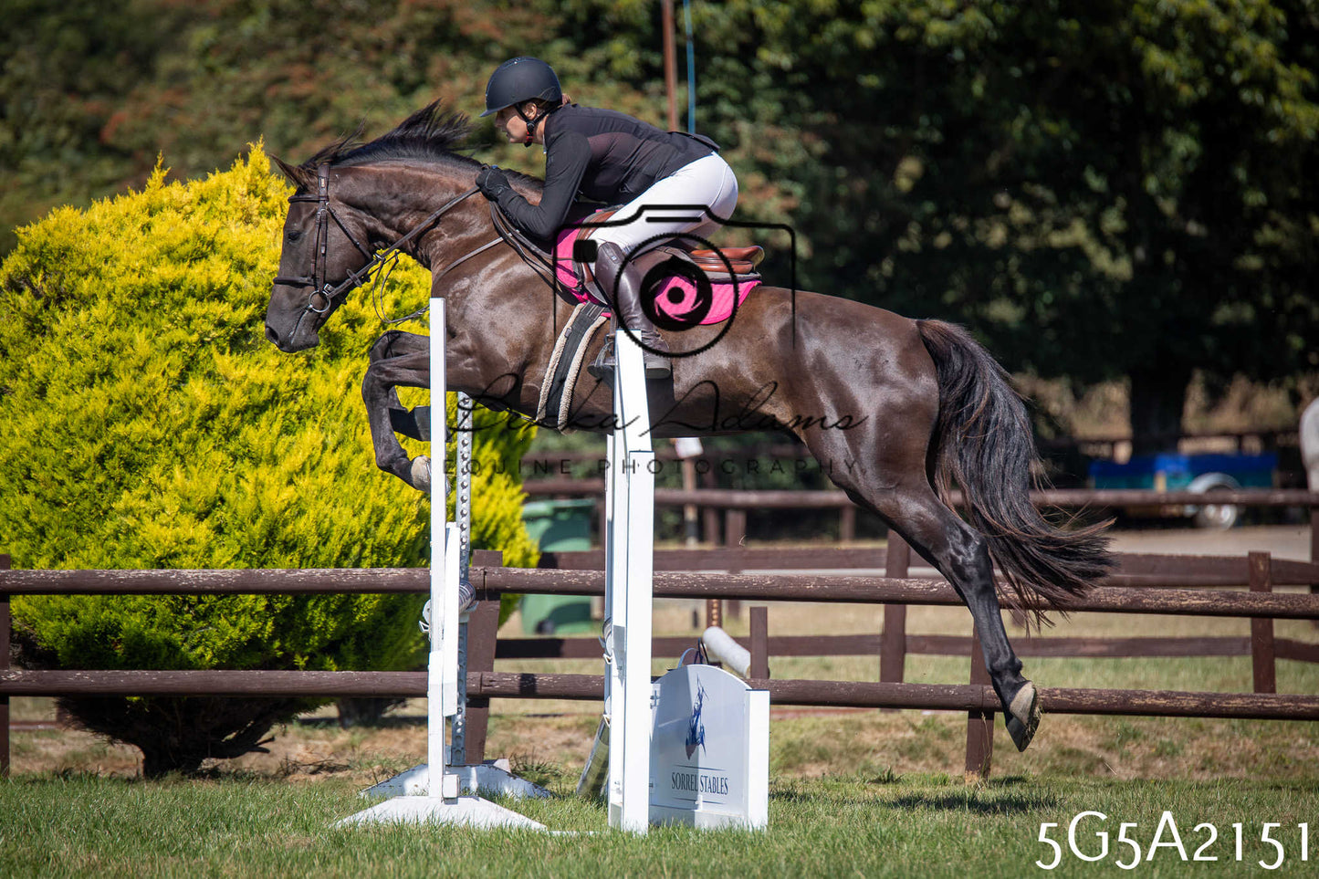 St Lawrence Charity Horse Show - Sunday pt3