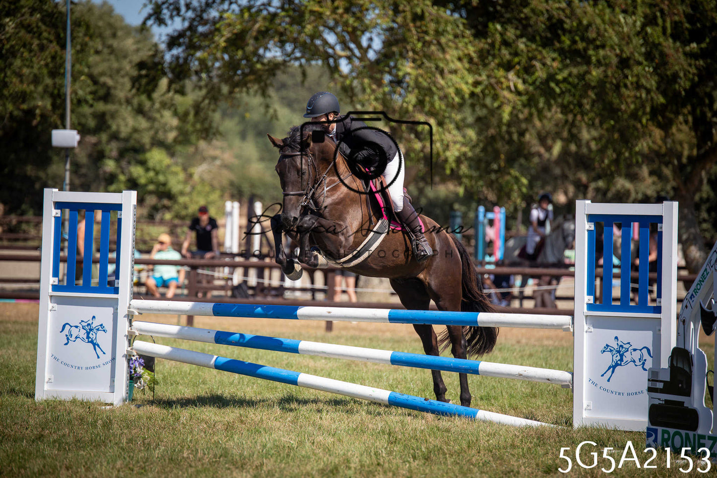 St Lawrence Charity Horse Show - Sunday pt3