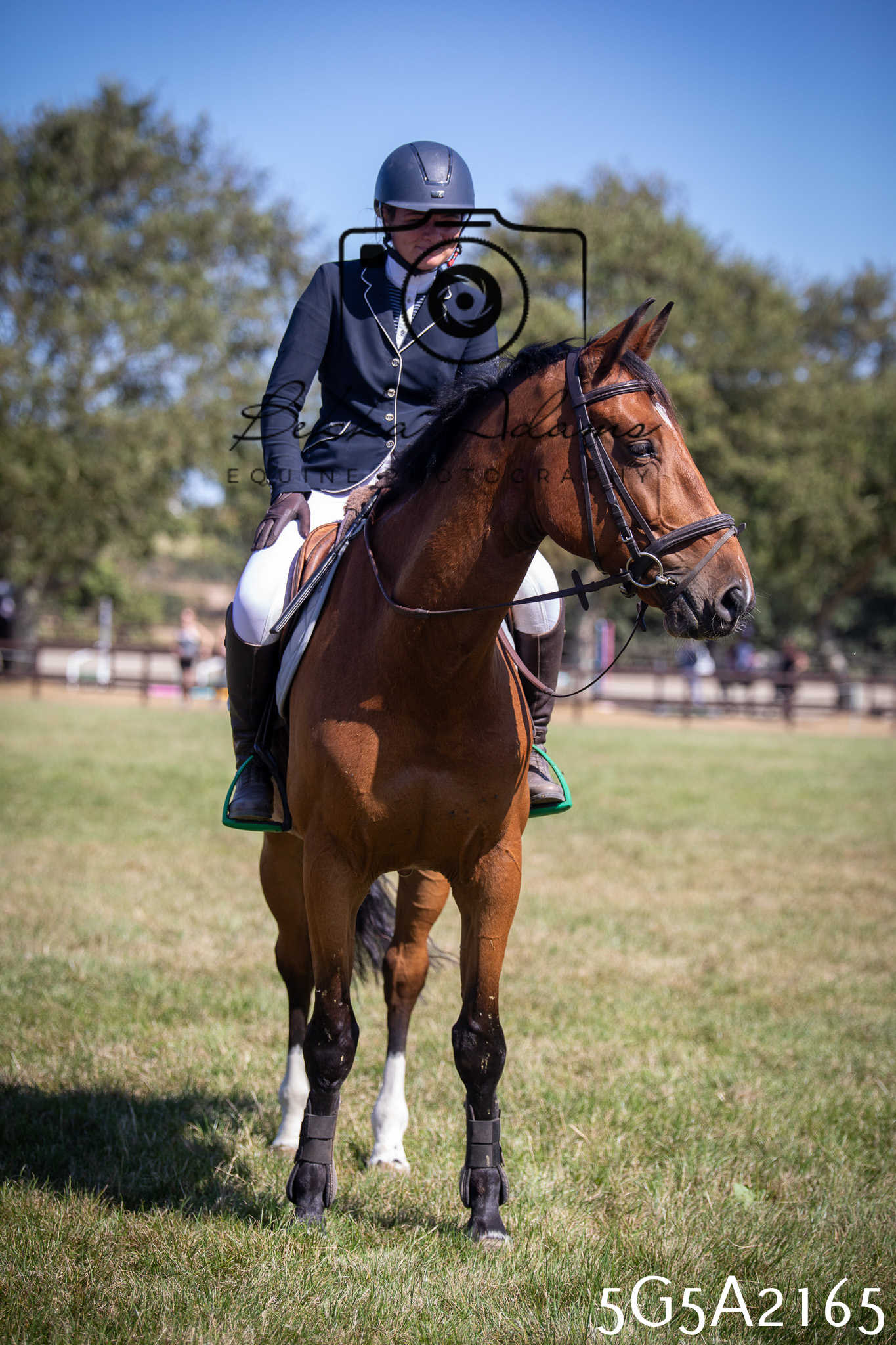 St Lawrence Charity Horse Show - Sunday pt3