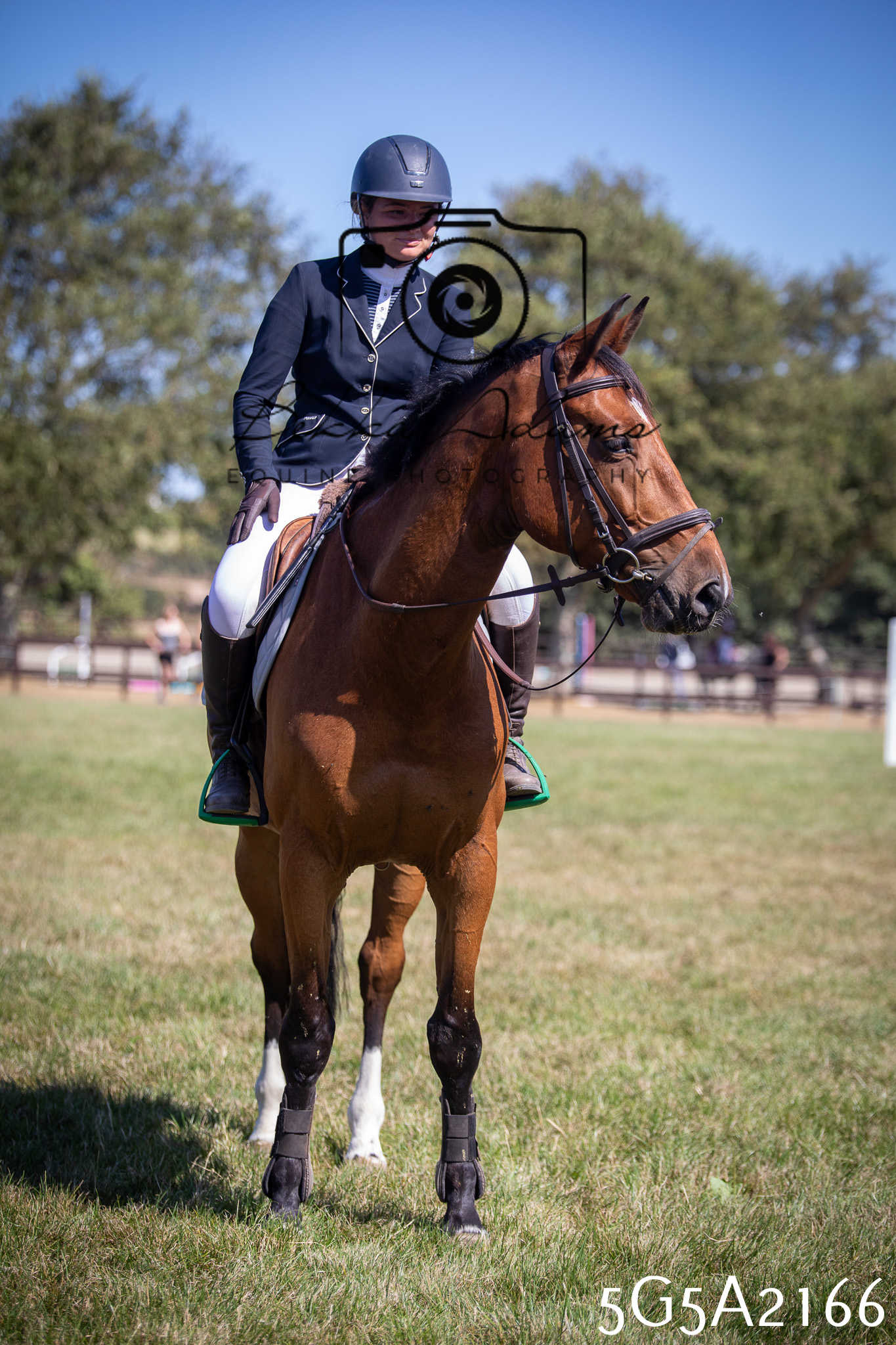 St Lawrence Charity Horse Show - Sunday pt3