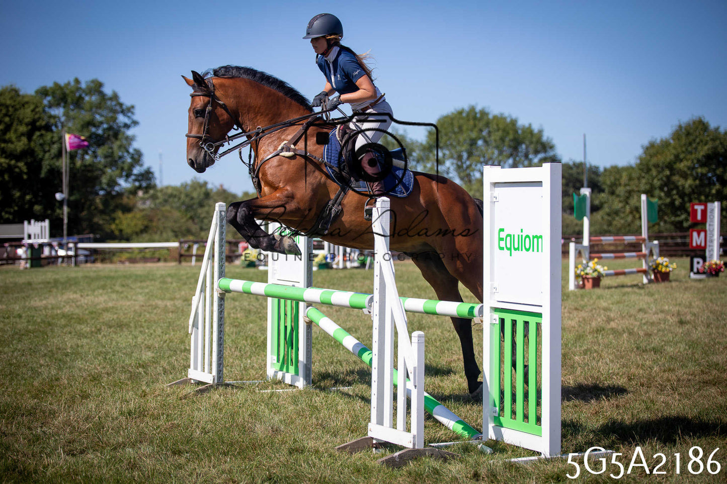 St Lawrence Charity Horse Show - Sunday pt3