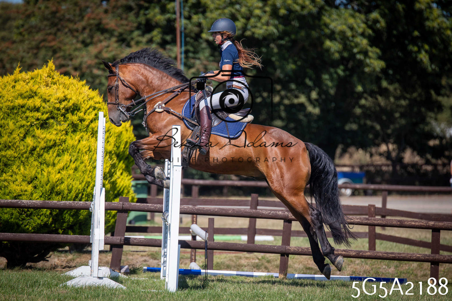St Lawrence Charity Horse Show - Sunday pt3