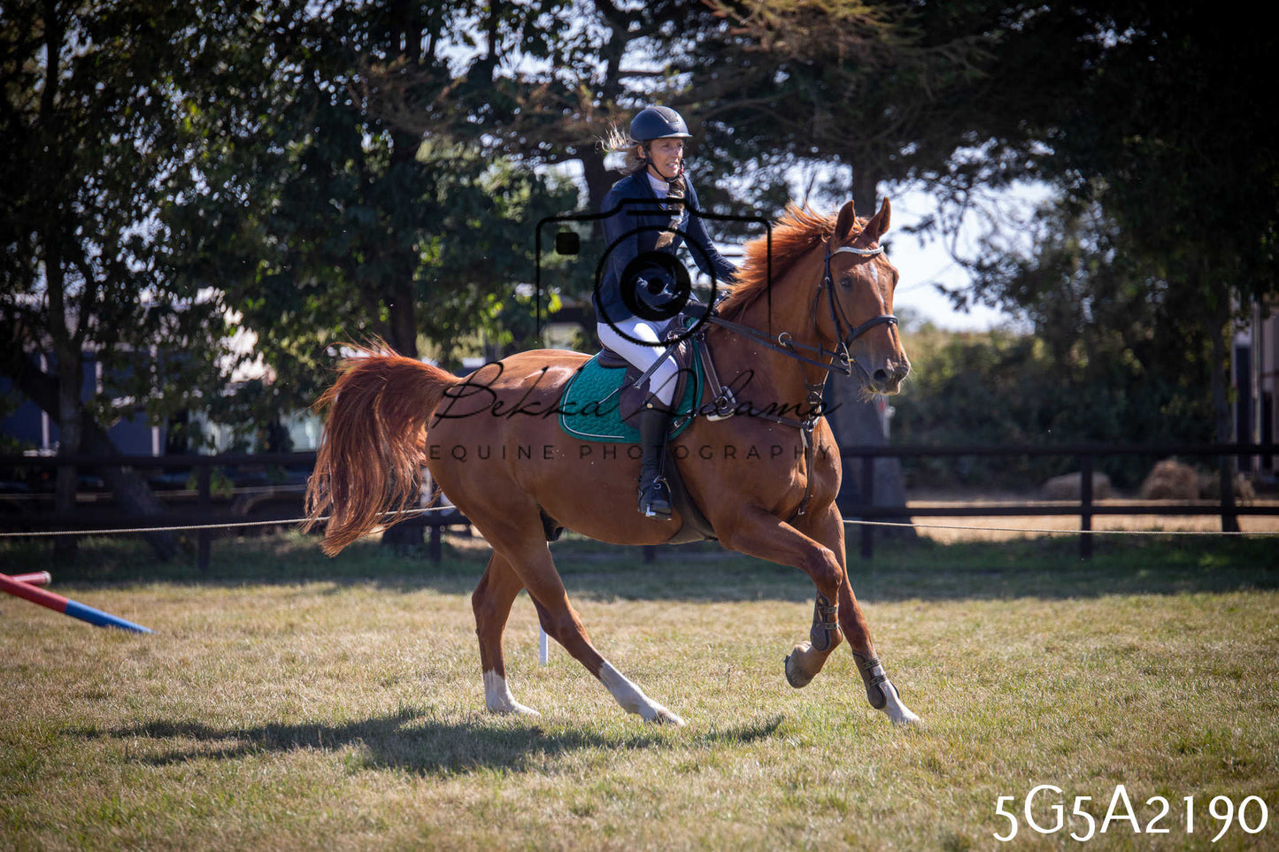 St Lawrence Charity Horse Show - Sunday pt3
