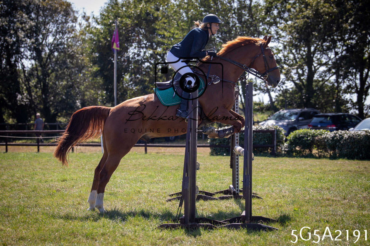 St Lawrence Charity Horse Show - Sunday pt3