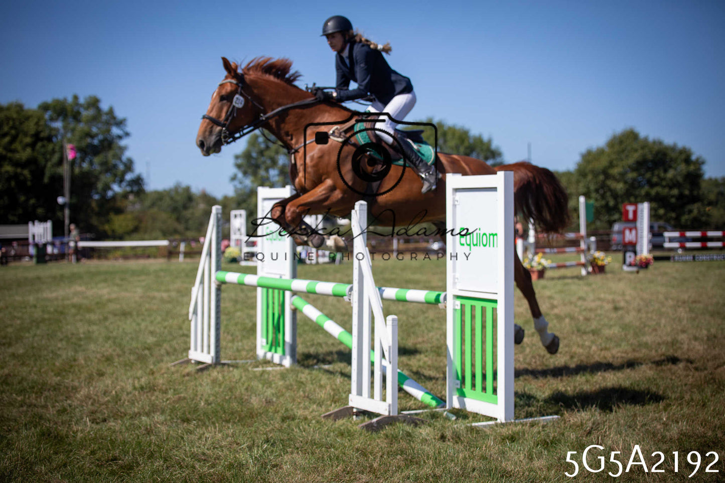St Lawrence Charity Horse Show - Sunday pt3