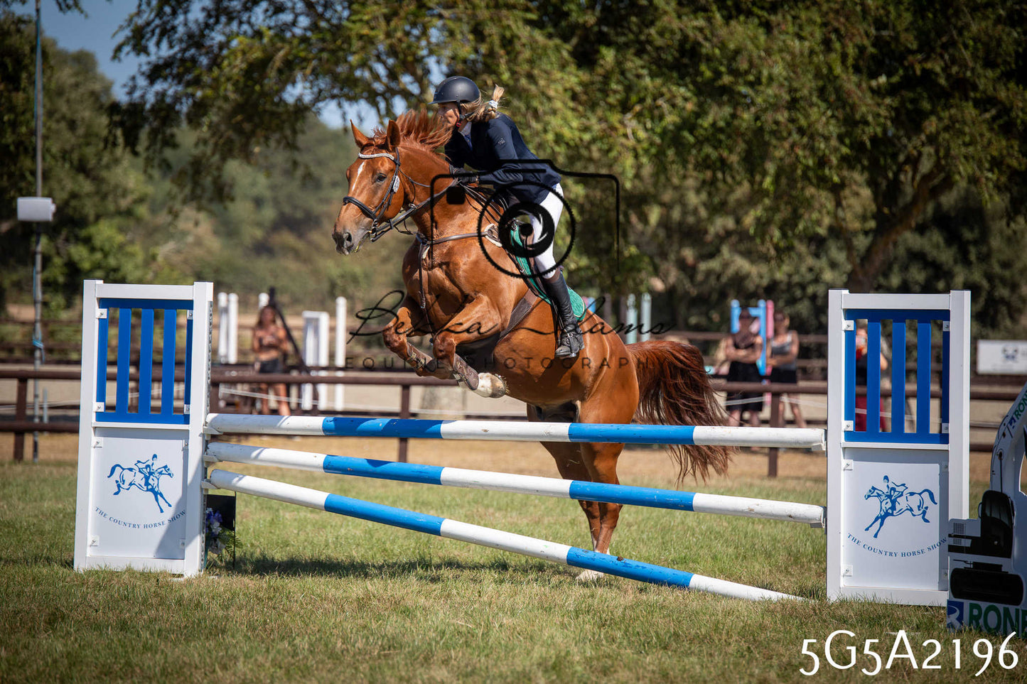 St Lawrence Charity Horse Show - Sunday pt3