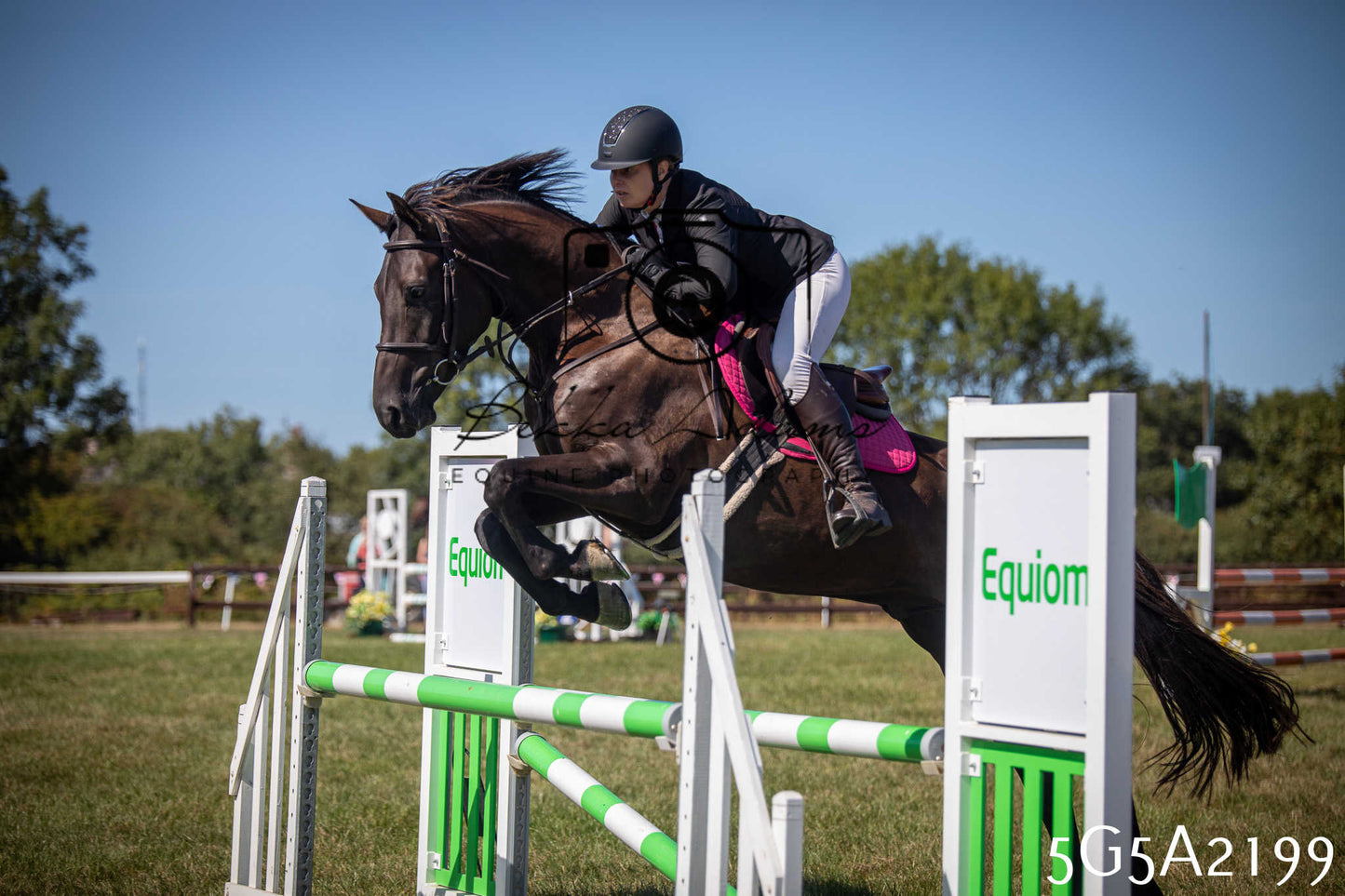 St Lawrence Charity Horse Show - Sunday pt3