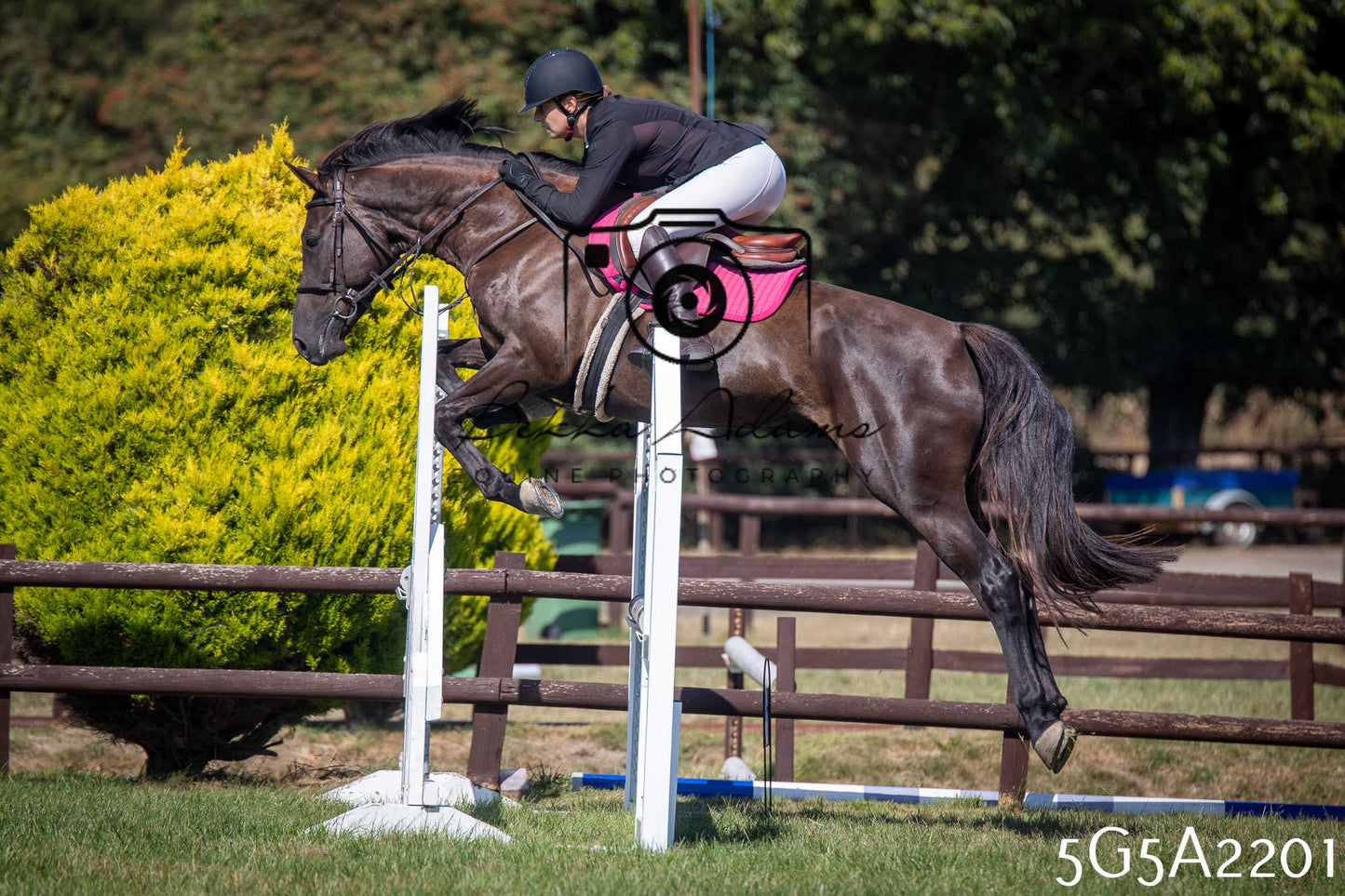 St Lawrence Charity Horse Show - Sunday pt3