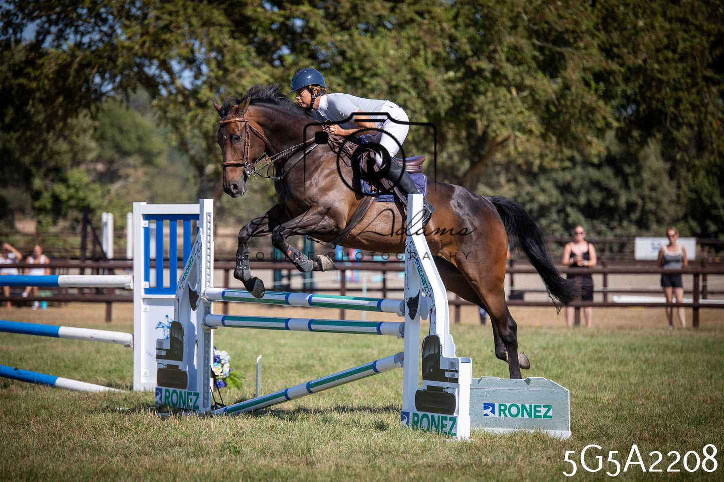 St Lawrence Charity Horse Show - Sunday pt3