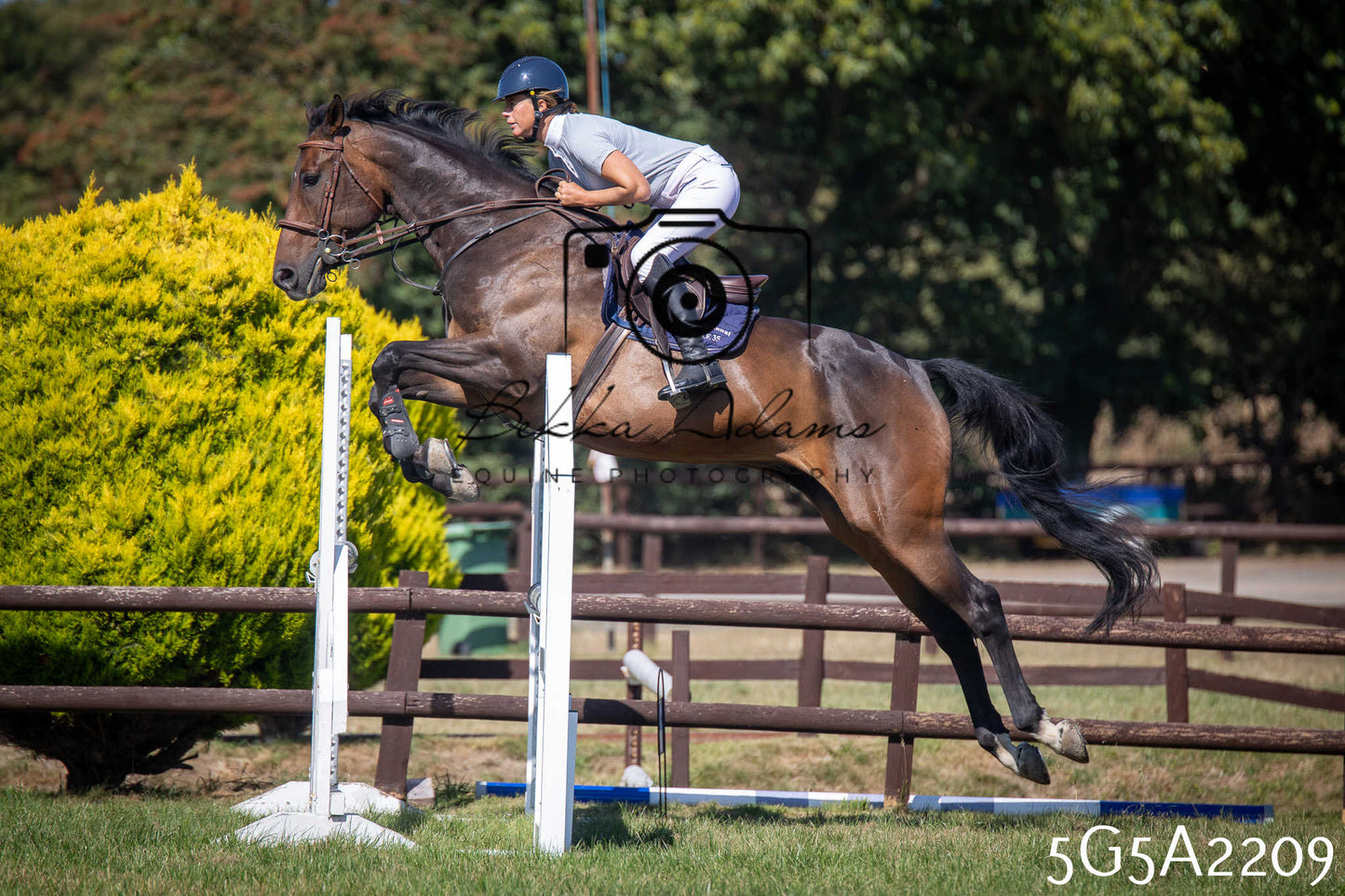 St Lawrence Charity Horse Show - Sunday pt3