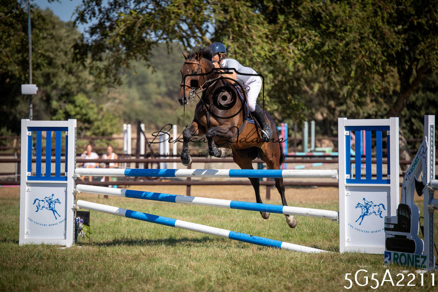 St Lawrence Charity Horse Show - Sunday pt3