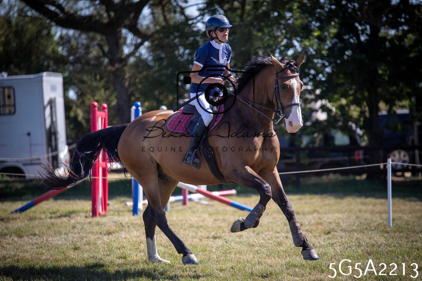 St Lawrence Charity Horse Show - Sunday pt3