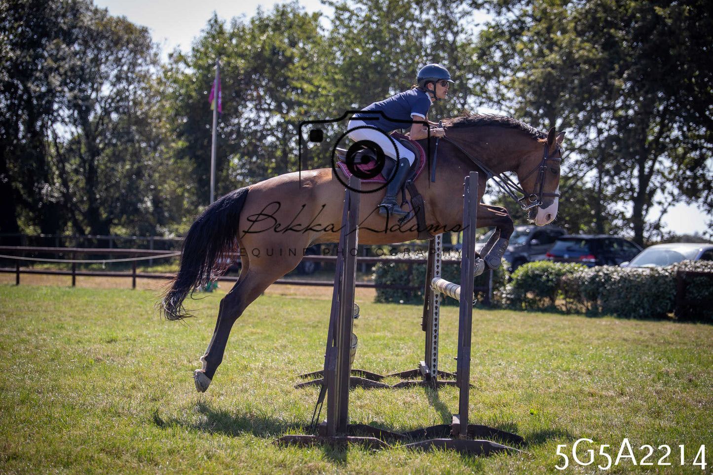 St Lawrence Charity Horse Show - Sunday pt3