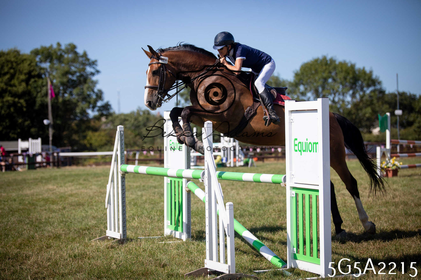 St Lawrence Charity Horse Show - Sunday pt3