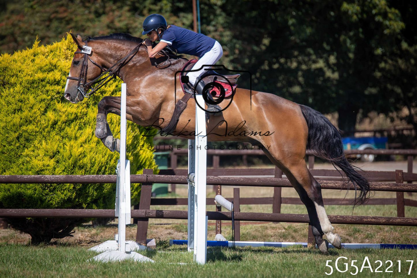 St Lawrence Charity Horse Show - Sunday pt3