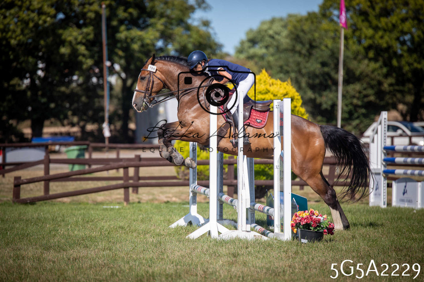 St Lawrence Charity Horse Show - Sunday pt3