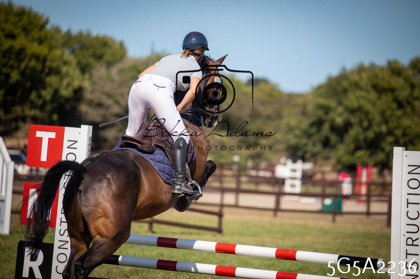 St Lawrence Charity Horse Show - Sunday pt3