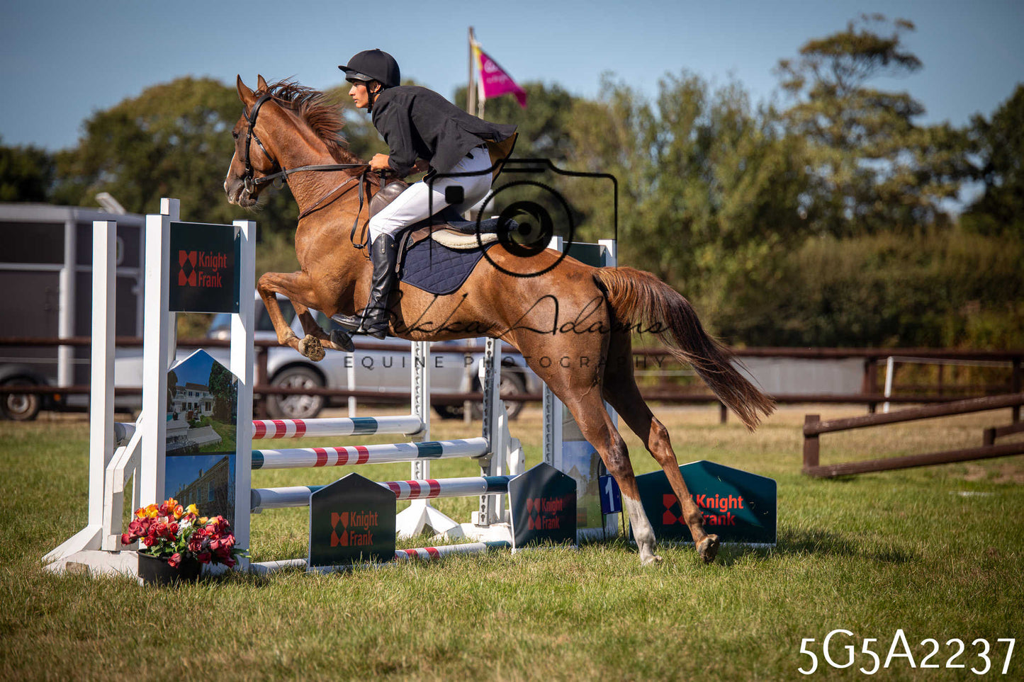 St Lawrence Charity Horse Show - Sunday pt3