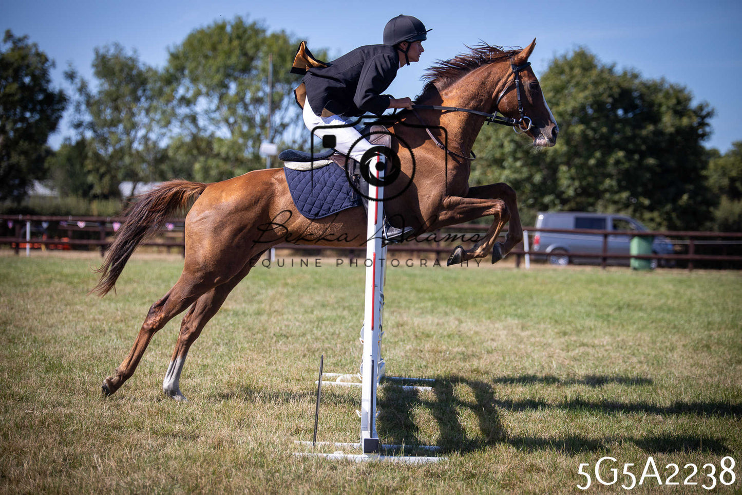 St Lawrence Charity Horse Show - Sunday pt3