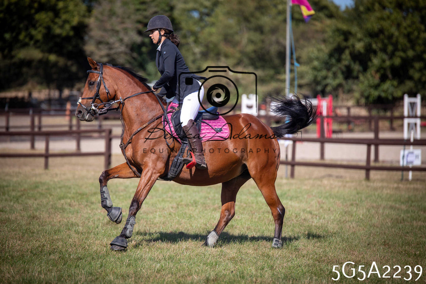 St Lawrence Charity Horse Show - Sunday pt3