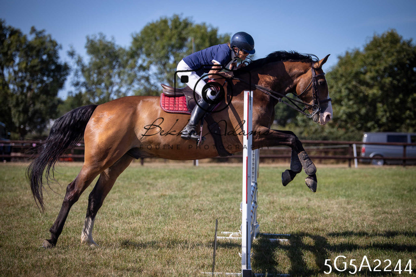 St Lawrence Charity Horse Show - Sunday pt3