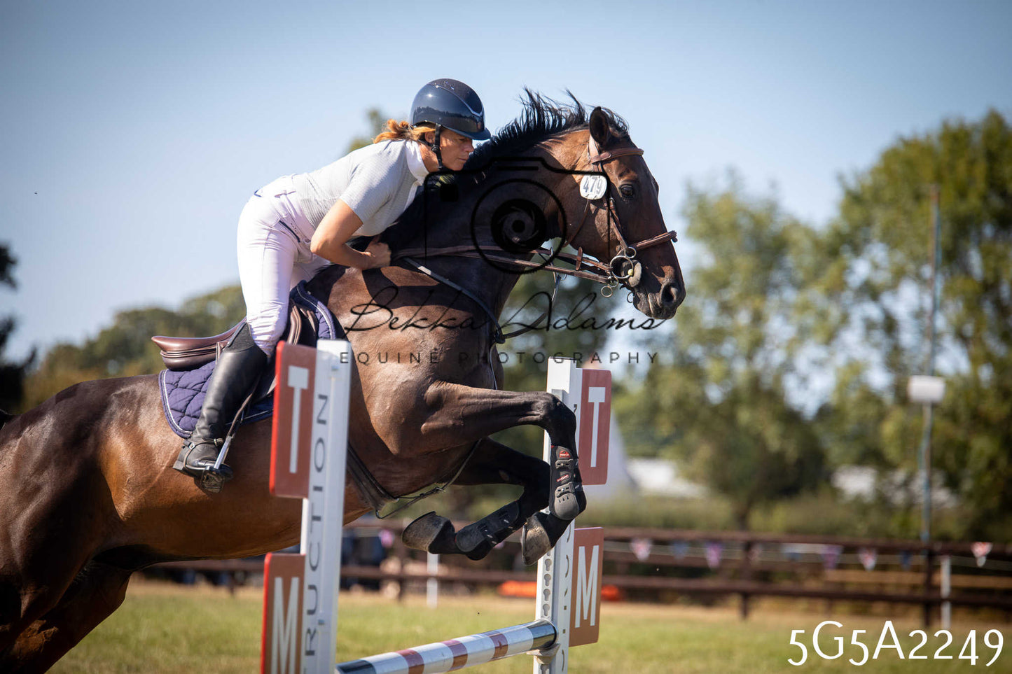 St Lawrence Charity Horse Show - Sunday pt3