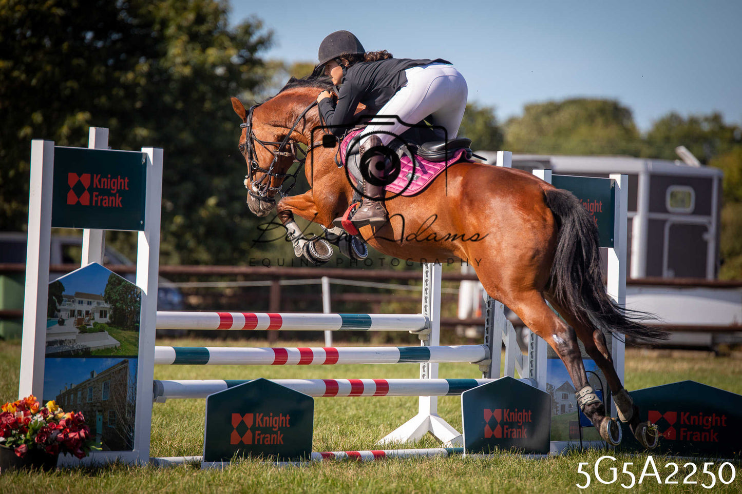 St Lawrence Charity Horse Show - Sunday pt3