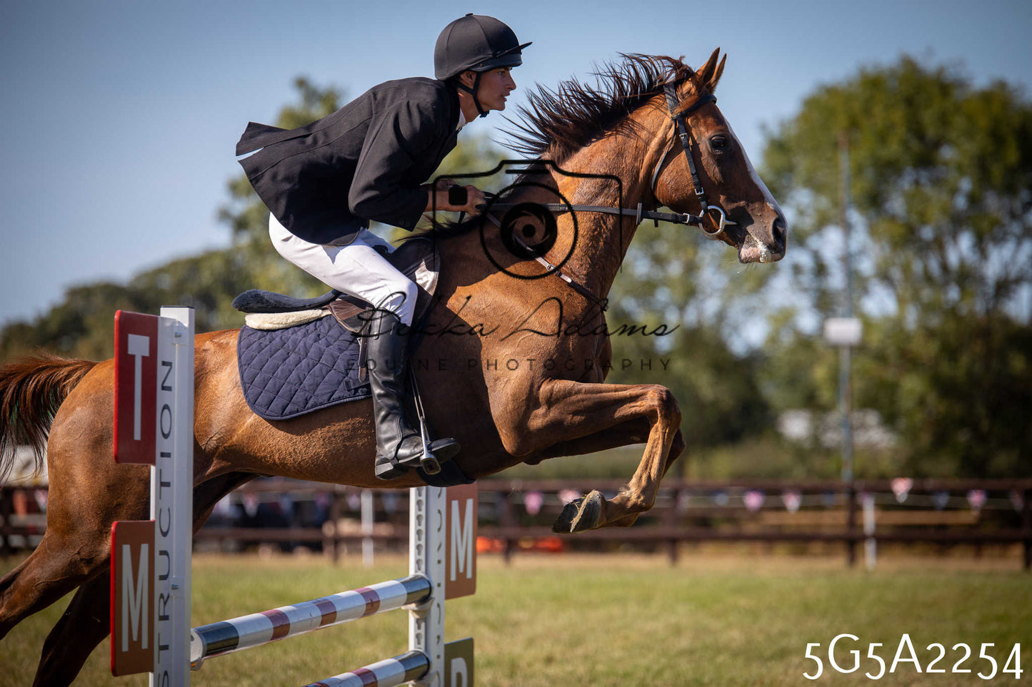 St Lawrence Charity Horse Show - Sunday pt3