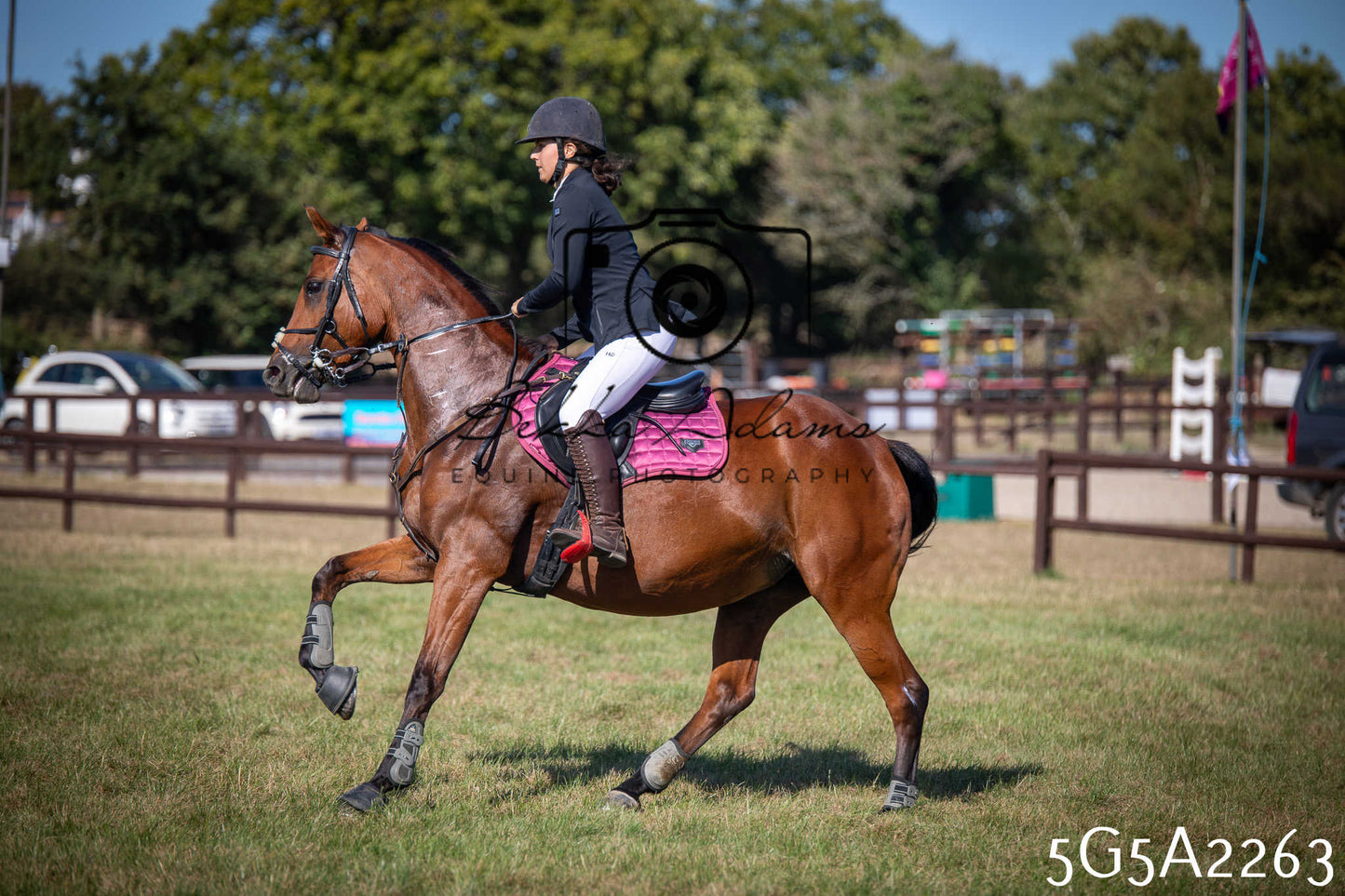 St Lawrence Charity Horse Show - Sunday pt3