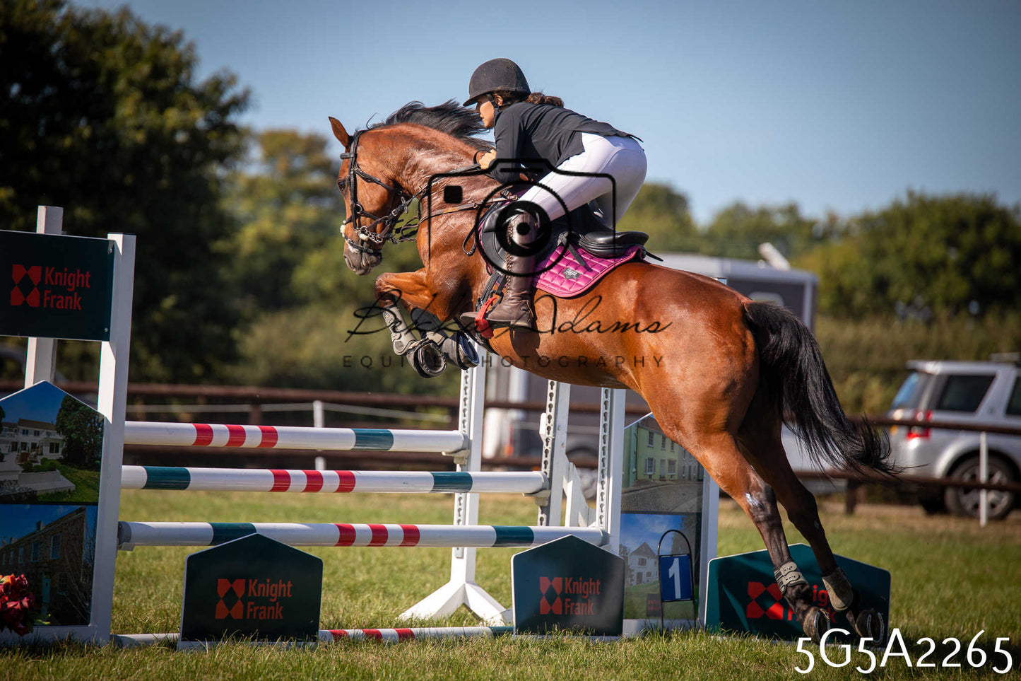 St Lawrence Charity Horse Show - Sunday pt3