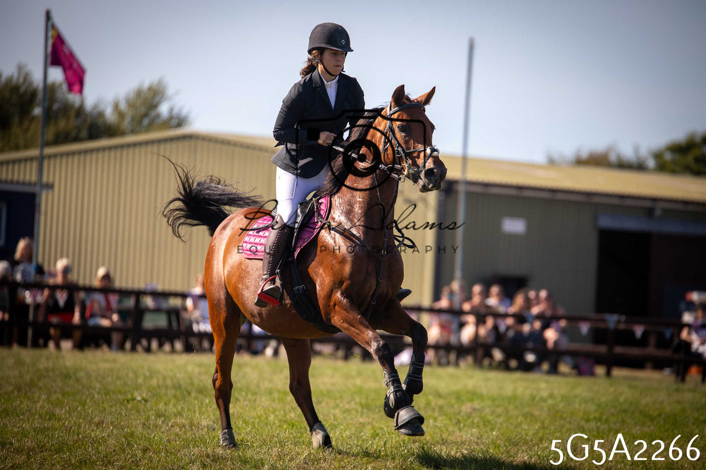 St Lawrence Charity Horse Show - Sunday pt3