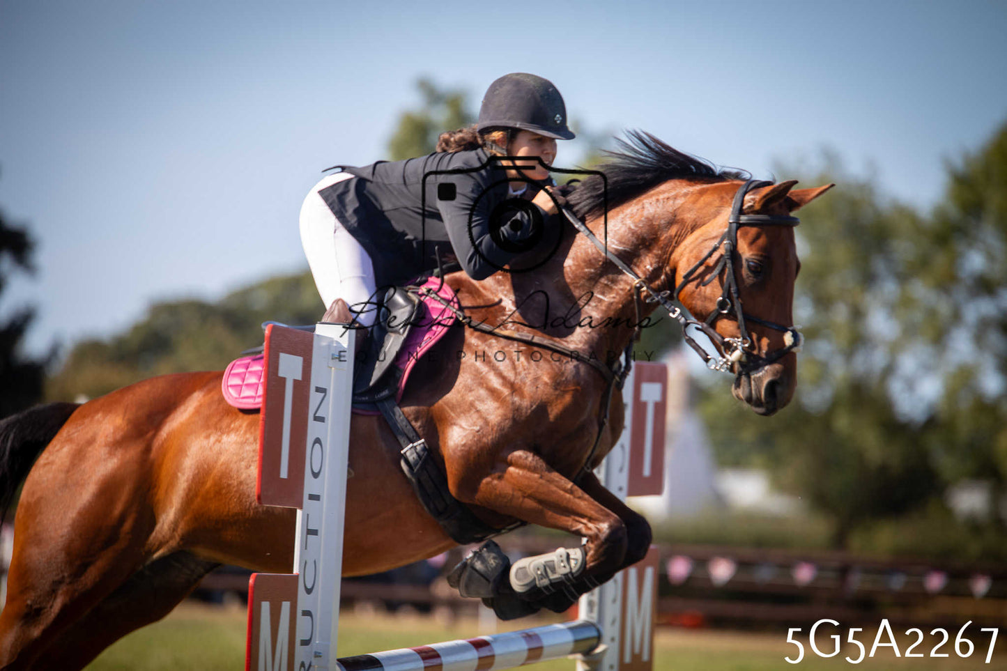 St Lawrence Charity Horse Show - Sunday pt3